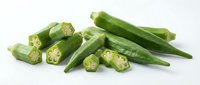 Fresh green okra pods whole and sliced showing seeds, healthy organic vegetable ingredient for cooking and nutrition on white background.