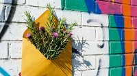 Yellow envelope with fresh rosemary herbs against colorful graffiti brick wall. Creative botanical arrangement for greeting cards, invitations, natural decor concepts.