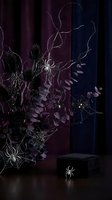 Dark gothic Halloween scene with purple foliage, spider webs, twisted branches and black gift box creating mysterious spooky atmosphere for seasonal decor.