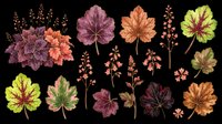 Autumn foliage collection with isolated leaves and flowers on transparent background. Ready for t-shirt design, clipart, stickers, sublimation, print-on-demand products and digital crafts.