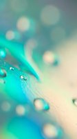 Water droplets on turquoise feather with soft bokeh background, creating dreamy abstract composition suitable for wellness, nature, and design projects.