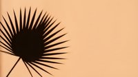 Silhouette of palm fan leaf with radiating spines against warm beige background, suitable for tropical design, wallpapers, and botanical graphics.