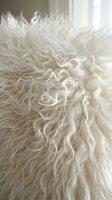 Soft white curly sheep wool texture close-up with natural fibers and fluffy strands for textile and craft projects.