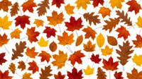 Colorful autumn leaves scattered on white background featuring maple, oak and other fall foliage in vibrant orange, red, yellow and brown colors for seasonal designs.