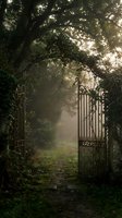 Mysterious open iron gate leading through misty forest path with atmospheric sunlight filtering through ancient trees creating enchanting woodland entrance.