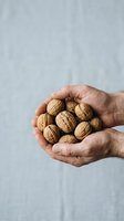 Adult male hands holding fresh walnuts against neutral background. Suitable for healthy eating, nutrition, organic food, and wellness marketing materials.