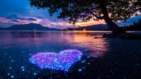 Magical glowing heart shape on lake shore at sunset with mountain silhouettes and tree branch framing dramatic purple sky reflections in calm water.