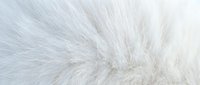 Soft white fur texture background with natural fluffy animal hair pattern for luxury fashion design and cozy winter decor projects.