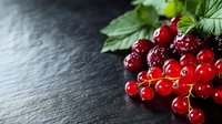 Fresh ripe red currants with green leaves on dark slate stone background with copy space. Natural organic berries macro photography for food design.