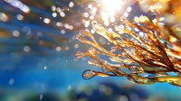 Glowing golden water drops on plant branches against blue background with bokeh lights create magical nature macro photography effect.