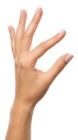Open hand gesture of woman with medium skin tone displaying five fingers spread wide on white isolated background for design use.