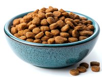 Dry brown pet food kibbles in turquoise ceramic bowl on white background, close up view of dog or cat nutrition pellets, isolated for commercial use.