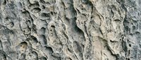 Weathered tree bark texture with deep cracks and natural grooves, suitable for backgrounds, nature designs, and organic material references.