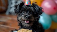 Adorable black dog wearing party hat with birthday cake, celebrating pet birthday party with colorful balloons in background.