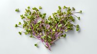 Fresh microgreens arranged in heart shape on white background, featuring vibrant green leaves and purple stems for healthy cooking and food decoration.