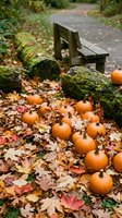 Autumn pumpkins scattered among colorful fallen leaves near moss-covered log and wooden bench in peaceful park setting for seasonal harvest decoration.