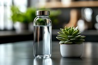 Glass water bottle and succulent plant in white ceramic pot on dark table surface with blurred kitchen background, minimalist eco-friendly lifestyle concept.