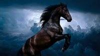 Majestic dark brown stallion rearing up against dramatic stormy sky with lightning and clouds. Powerful horse in dynamic pose showcasing strength and freedom.