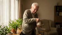 Senior Caucasian man watering houseplants with care in cozy living room, enjoying retirement hobby and indoor gardening activities at home.