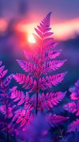 Vibrant pink fern leaf silhouette against dreamy sunset sky with bokeh effect, creating magical atmosphere for nature and wellness designs.