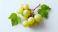 Fresh green grapes cluster with vine leaves isolated on white background for healthy eating and wine making concepts.