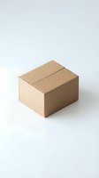 Brown cardboard shipping box on white background for ecommerce delivery packaging and postal service business needs.