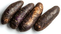 Fresh purple potatoes arranged in row showing natural organic texture and rich dark skin color on white background, isolated for food photography and design.