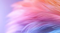 Delicate feather macro showing soft pink and blue pastel gradient with gentle texture and light effects, creating dreamy ethereal mood for romantic designs.
