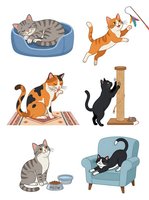 Tabby and ginger cats in various playful poses with toys, beds, and scratching posts on isolated white background. Clipart collection for pet care designs.