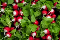 Fresh organic red and white radishes with bright green leaves arranged in a vibrant pattern, perfect for healthy eating, food background, and agricultural themes.