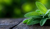 Fresh sage leaves with detailed texture and veins on rustic wooden surface against blurred green background, aromatic culinary herb macro photography.