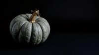 Pale gray pumpkin with ribbed texture and dried stem isolated on black background, suitable for autumn harvest designs and seasonal marketing materials.