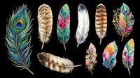 Feather collection featuring peacock, tribal, watercolor, and decorative designs isolated on transparent background. Ready for t-shirt designs, clipart, stickers, sublimation, and print-on-demand projects.