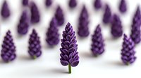 Purple grape hyacinth flowers arranged in minimalist composition with selective focus on center bloom against soft white background, creating depth and perspective.