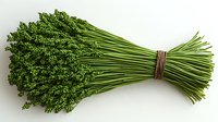 Fresh green chives bundle tied with twine on white background, organic cooking herbs isolated for culinary and food photography projects.