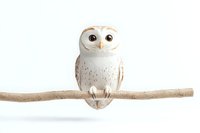 White barn owl perched on bare branch against clean white background, detailed feathers and large eyes create striking minimalist wildlife portrait.