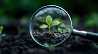 Young green plant seedling viewed through magnifying glass on dark soil background, symbolizing growth, research, discovery and environmental science studies.