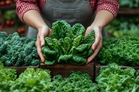 Farmer in checkered shirt and apron holding fresh curly kale in vegetable garden, organic produce harvesting and sustainable agriculture concept.
