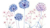 Delicate watercolor allium flowers in blue and pink hues with gentle stems and floating seeds on white background, botanical art for spring decor and stationery design.