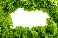 Fresh green lettuce leaves forming natural frame border on white background, isolated for food packaging design or menu layout.