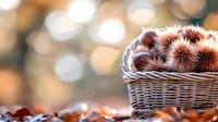 Chestnuts in wicker basket with autumn bokeh background, seasonal harvest concept for fall cooking, decoration, and holiday preparations.