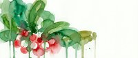 Watercolor radish vegetables with green leaves dripping paint effect on white background for organic food design and culinary art projects.