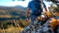 Male hiker exploring mountain terrain with wildflowers in foreground focus, blurred adventurer with backpack against scenic wilderness landscape at sunset.