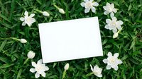 Blank white card surrounded by delicate white flowers on fresh green grass background for spring greeting cards, invitations and natural design projects.