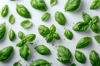 Fresh basil leaves scattered on white background, organic aromatic herbs pattern viewed from above, isolated cooking ingredients for Mediterranean cuisine.