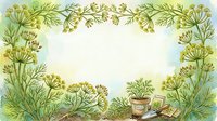 Botanical garden frame with fennel and dill plants surrounding central space, featuring potted herbs and gardening tools. Isolated design element for gardening, cooking, and botanical projects.