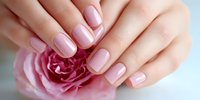 Elegant female hands with soft pink manicure holding delicate rose flower, showcasing nail care and beauty treatment results.