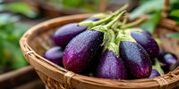 Fresh purple eggplants with green stems in wicker basket, close-up view with natural light and blurred garden background for cooking ingredients.