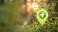 Green location pin with arrow icon nestled among ferns and moss in forest setting with warm sunlight and bokeh background for eco-friendly navigation concepts.