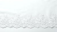 White lace trim with intricate floral embroidery pattern on clean background for wedding dress, lingerie, craft and sewing projects.
